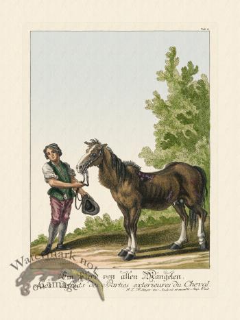 Ridingers Horses 04